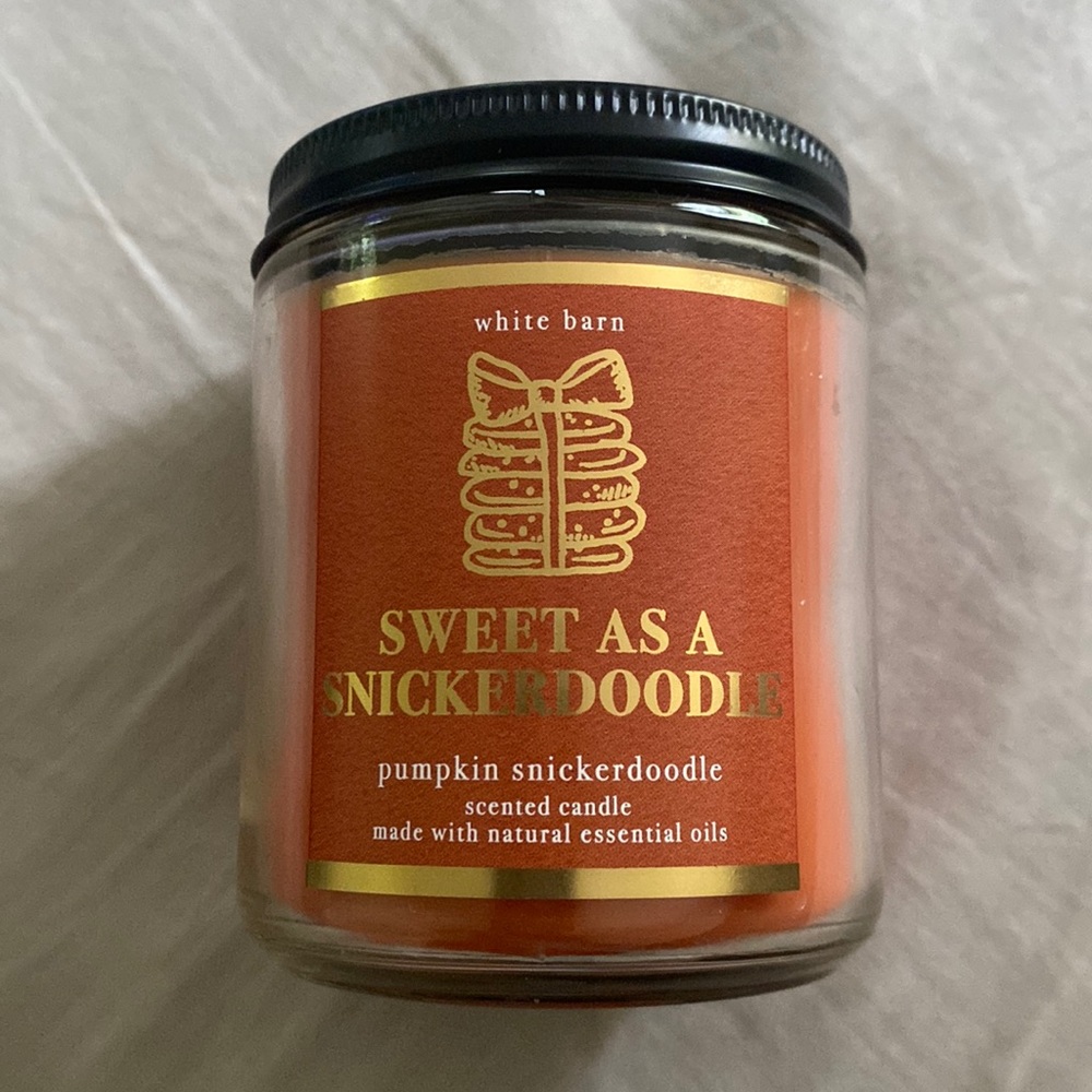 Bath & Body Works Pumpkin Snickerdoodle Single Wick Candle